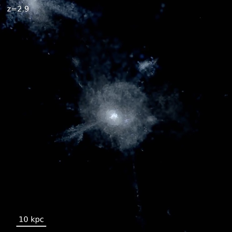 m12b_star_40kpc