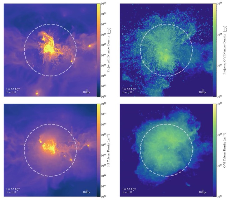 m12i_cgm_ions_topwithoutcrs