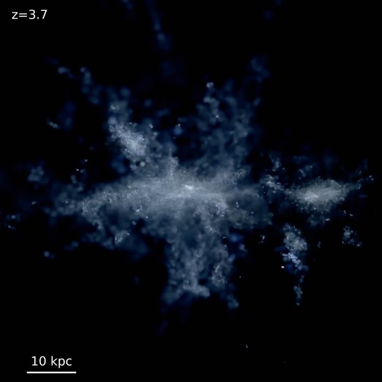 m12i_star_40kpc