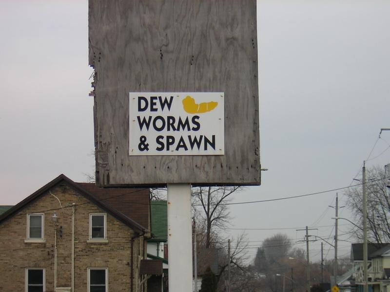 Dew worms