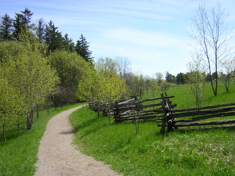 Weg im Arboretum