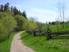 Weg im Arboretum