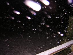 Schneetreiben