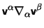 $\displaystyle \hbox{\vec v}^{\alpha} \nabla_{\alpha}
             \hbox{\vec v}^{\beta+}$