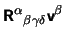 $\displaystyle \hbox{\vec R}^{\alpha}{}_{\beta \gamma
             \delta} \hbox{\vec v+}^{\beta}$